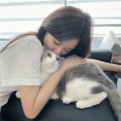 红粉情深 海报
